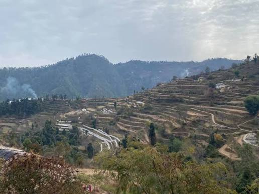 Mukteshwar Plots: A Smart Investment in Uttarakhand's Scenic Hills